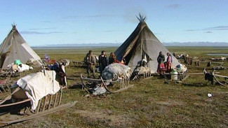 В Салехарде назвали главное условие для сохранения родных языков аборигенов Ямала