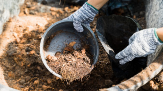 Археологическая экспедиция в поисках Пантуева городка пройдет на Ямале