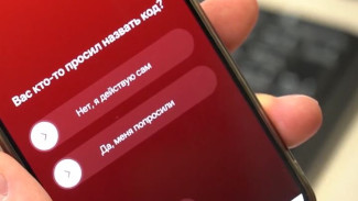 Жители Ямала оценили удобство отечественного сервиса MAX