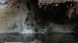 Из-за потепления в Тазовском районе начали таять ледяные жилы, которым от 10 до 15 тысяч лет