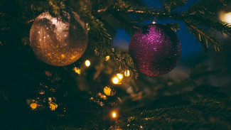 Искали, искали – и нашли: главной новогодней елкой страны станет 95-летнее дерево из Подмосковья 