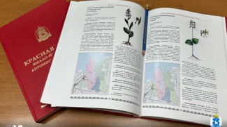 Тираж - 100 экземпляров: вышло новое издание Красной книги Ямала