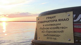160 тысяч тонн за 90 лет: рыбаки Ямала отмечают профессиональный праздник