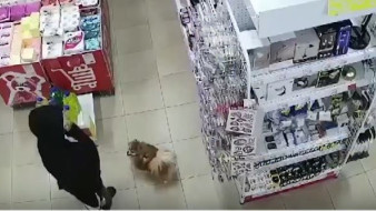 «Пушистый» конфуз: в Лабытнанги собака справила нужду в магазине