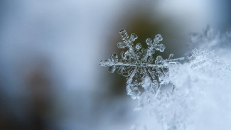 Погода в Салехарде: синоптики рассказали, какой будет температура за окном в понедельник