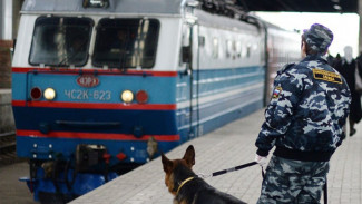 Двух ямальцев с наркотиками сняли с поезда в Тюмени