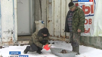 Ямальских рыбаков хотят оградить от излишней бюрократии