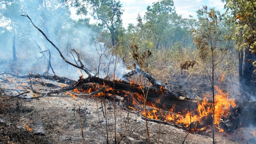 Сухие грозы вновь стали причиной лесных пожаров на Ямале
