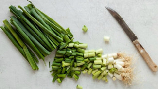 Витамин на окошке: чем полезен зеленый лук и как вырастить его дома