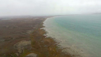 Служба охраны биоресурсов Ямала отправилась в рейд по самым отдаленным уголкам региона - в район побережья Карского моря