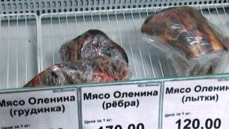 На прилавках Шурышкарского района появилось свежее мясо оленя