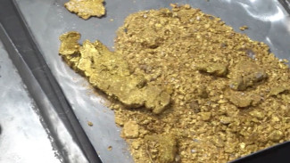 «Золотой урожай»: горняки Магаданской области добывают драгоценный металл