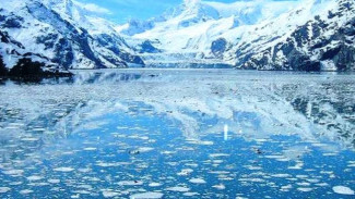 Вырвался из морских глубин: ученые обнаружили в Арктике рекордный выброс метана