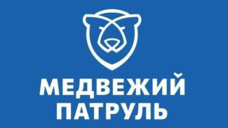 Ямал и соседние регионы готовятся к масштабному внедрению медвежьего патруля