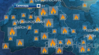 Лесные пожары на Ямале: о новых очагах возгорания и тех, которые было решено не тушить