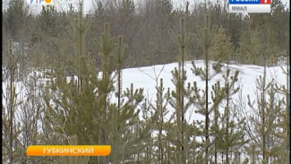 Изменен порядок постановки в очередь многодетных семей на получение бесплатных участков земли