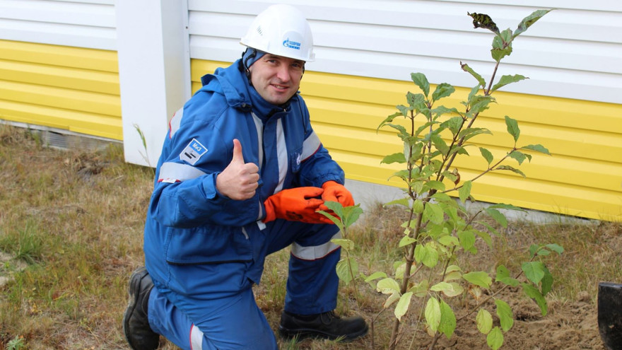 Убрали территорию и высадили деревья: нефтяники провели экопикник в Ямальском районе