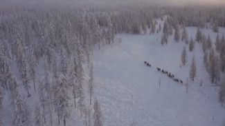 Беспрецедентное кинопутешествие: на Ямале выходит в прокат документальный фильм «Великий северный путь»
