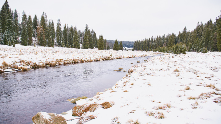 Состояние воды в реках и озерах на Ямале значительно улучшилось
