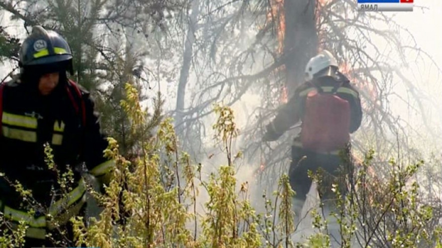Сразу 9 природных пожаров бушуют на Ямале