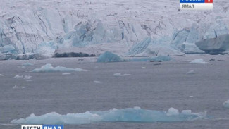 Ученые: на Земле скоро наступит «малый ледниковый период»