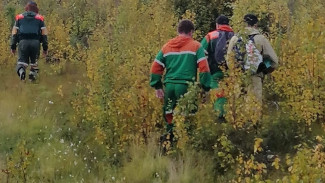 В Надымском районе спасатели нашли пропавшего мужчину