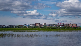 Год экологии в действии: в Салехарде пройдет второй этап расчистки берега реки Полуй