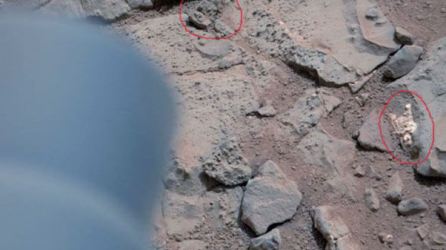 Есть ли жизнь на Марсе? В сети появилось фото существа, «погибшего» на Красной планете