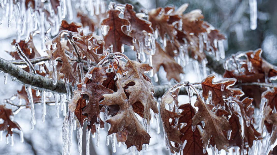 Погода в Салехарде: синоптики рассказали о температуре в воскресенье 5 февраля