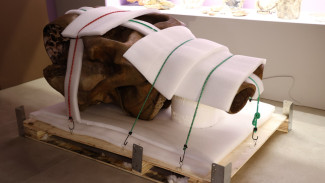 Мамонт Тадибе приехал из большого путешествия после реставрации 