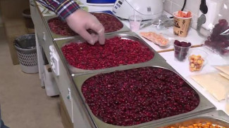 Могут храниться до 20 лет и сохранять полезные свойства: югорские ученые занялись сублимацией ягод