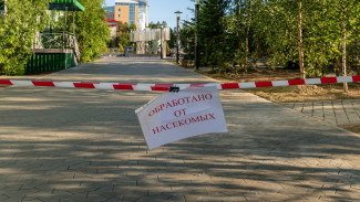 В Салехарде впервые провели антикомариную дезинсекцию