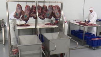 Мясные деликатесы и корма для животных: на Ямале запустили новый цех по переработке оленины