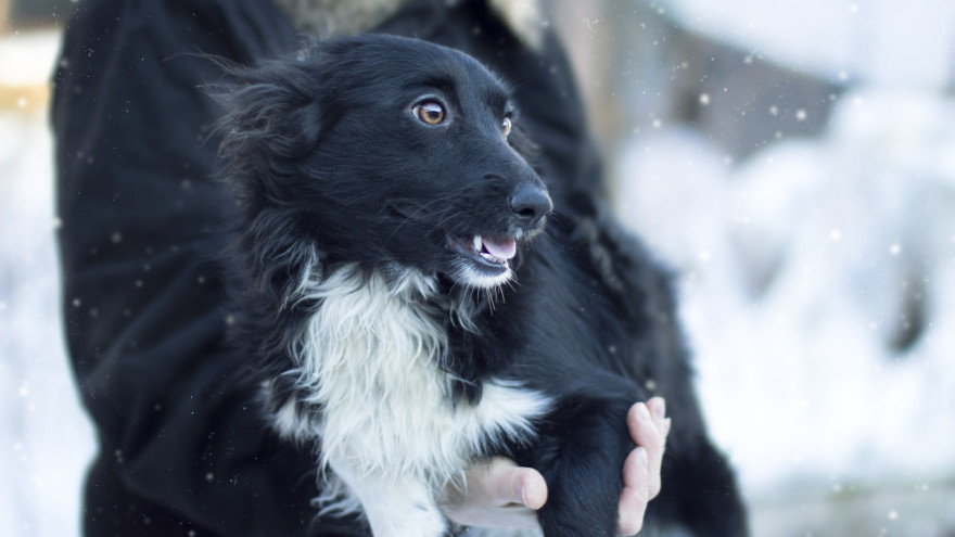 Ямал накроет холод и шквалистый ветер