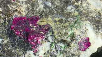 На одном из ямальских месторождений обнаружили залежи рубиновых пород