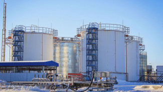 Завод в ЯНАО обеспечит Россию собственной адипиновой кислотой