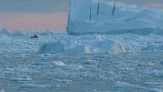 Ученые серьезно обеспокоены климатическими изменениями в Арктике