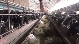 Ямальские предприятия вернулись из Екатеринбурга с рекордным количеством наград