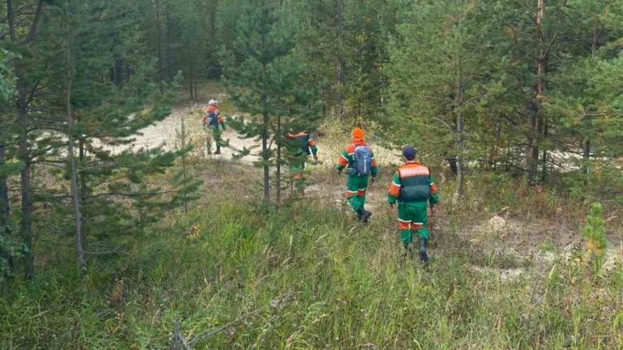 В Ноябрьске спасатели нашли пятерых заблудившихся в лесу
