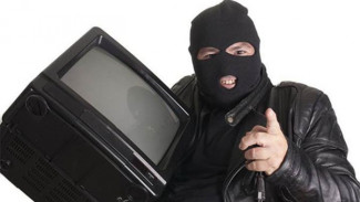 В Ноябрьске был пойман похититель телевизора