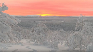 В Мурманске прошла акция «Первый рассвет»