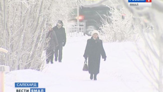 Быть в движении - быть здоровым! В окружной столице врачи будут гулять с горожанами