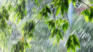 Погода в Салехарде: синоптики пообещали дождь и порывистый ветер
