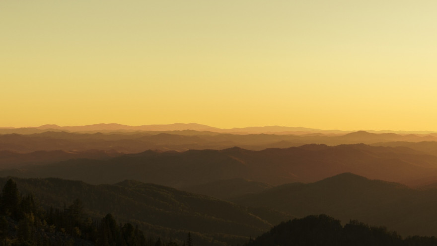 Тест видео 21