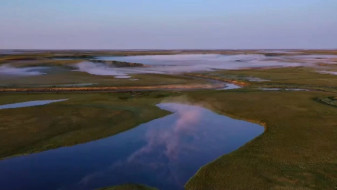 Орнитологи раскроют секреты арктических экспедиций на заповедный Ямал