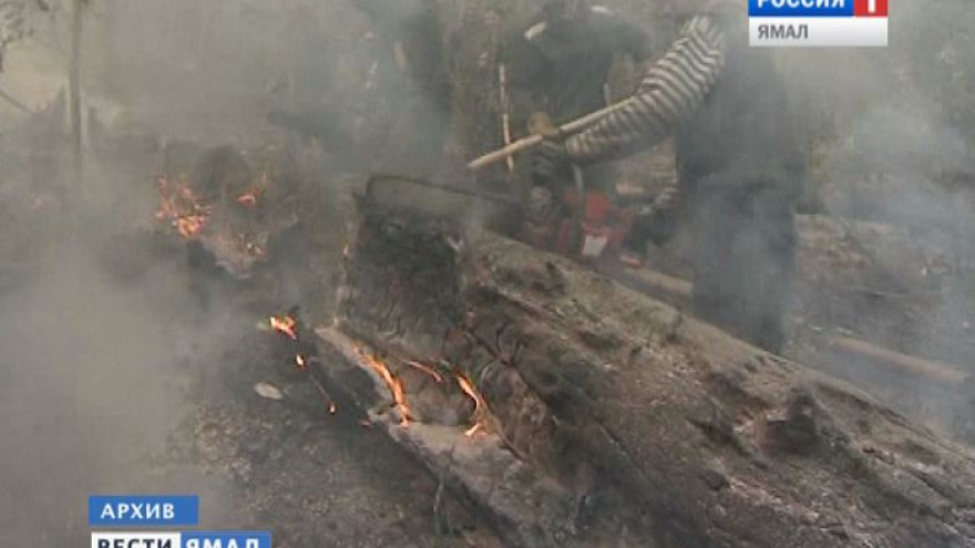 На Ямале вспыхнул первый лесной пожар