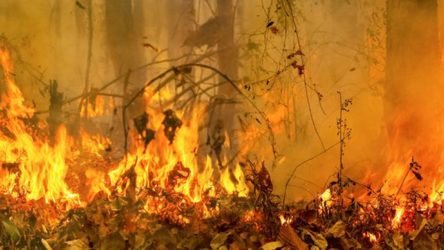 На Ямале горят более 375 гектаров леса