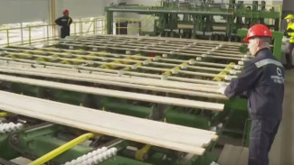 В Архангельске представили опытный образец линии сортировки пиломатериалов