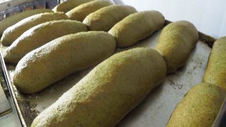 Необычный хлеб из мха производят на просторах Ямала