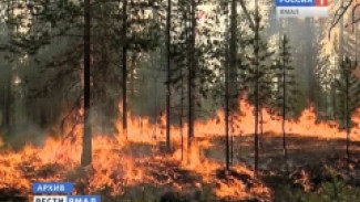 На Ямале из-за пожаров ввели ограничение на посещение лесов